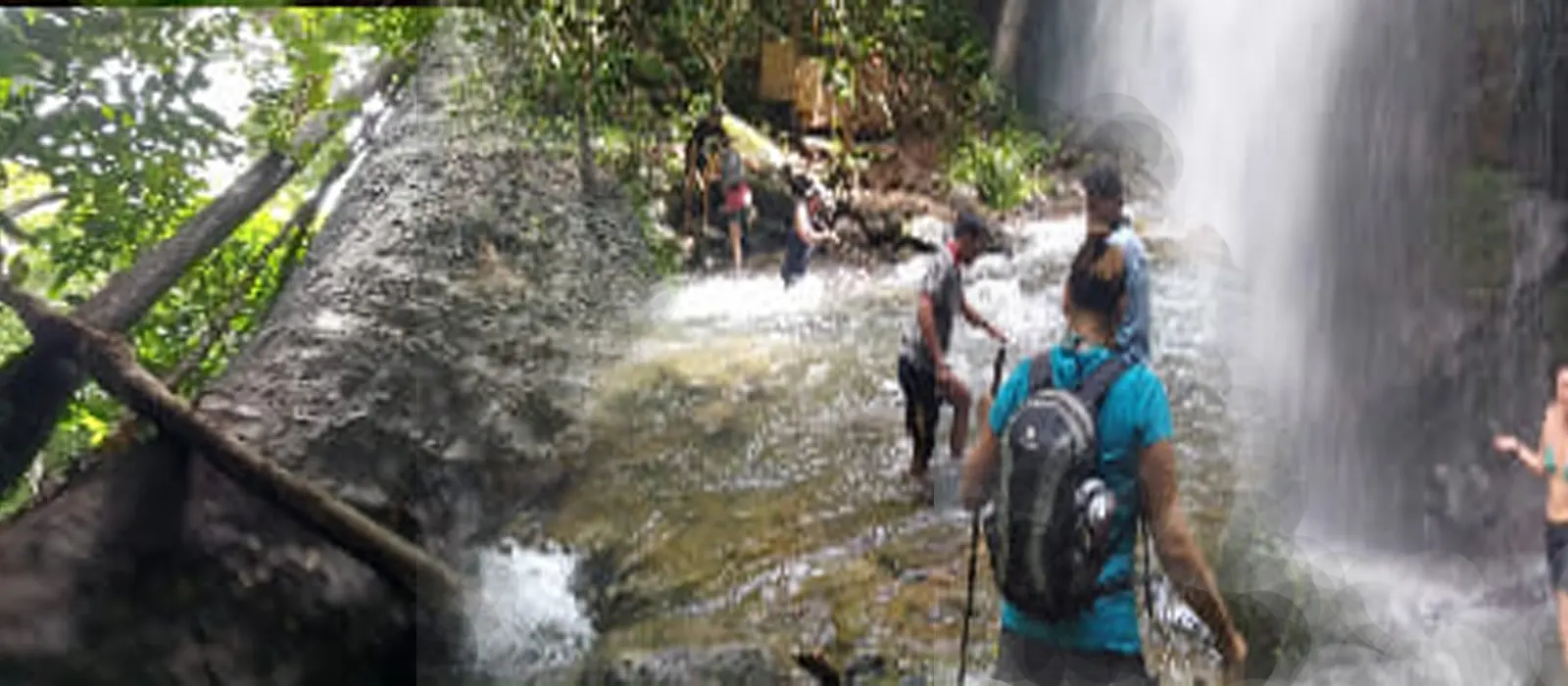 Muhur Rainforest Trekking 3D2N